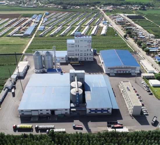 凌海九股河飼料有限公司